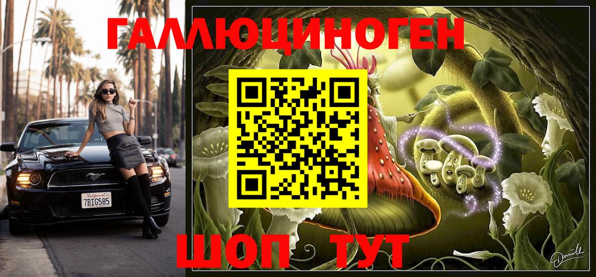 Галлюциногенные грибы MAGIC MUSHROOMS  Галлюциногенные грибы Psilocybe  Вход с VPN  Чистополь 