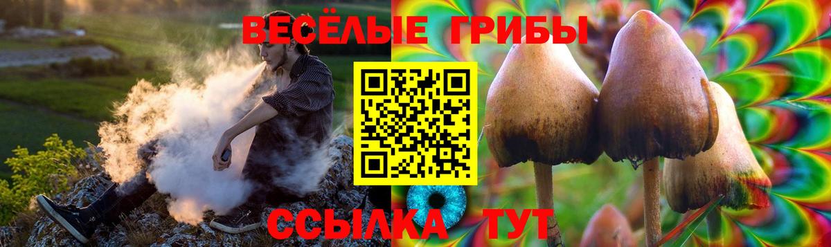 Псилоцибиновые грибы GOLDEN TEACHER Чистополь
